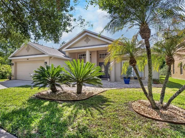 8215 Myrtle Point Way, Tampa, FL 33647