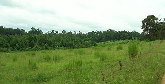 1st image of 4042 County Road 4520