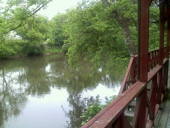 Back Yard.