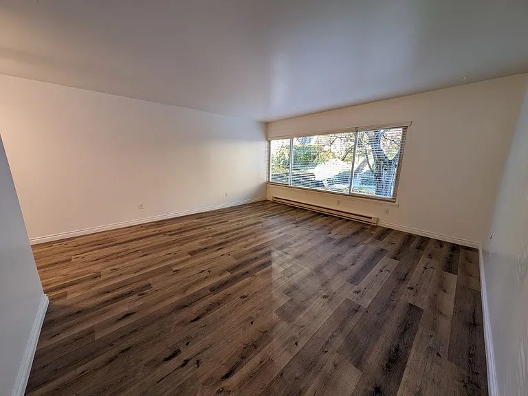 Tiki Apartments — Photo 7