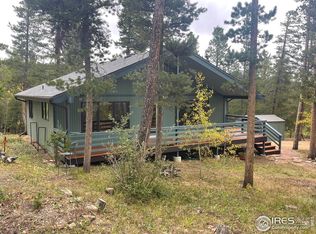 33 N Skinner Rd, Allenspark, CO 80510