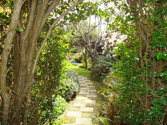 Path to rear yard