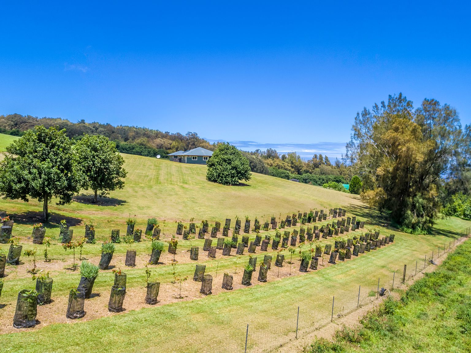 542324 Kynnersley Rd, Kapaau, HI 96755 Zillow