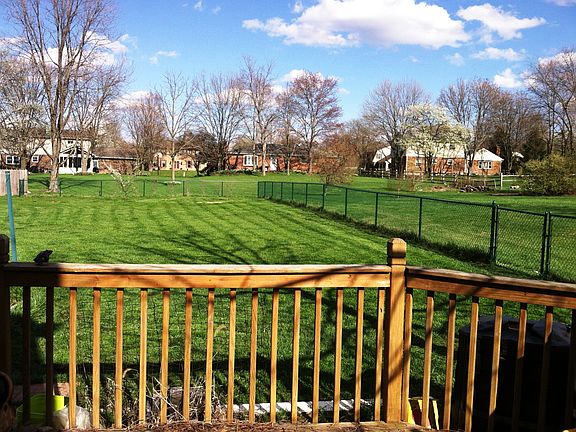 right side of back yard