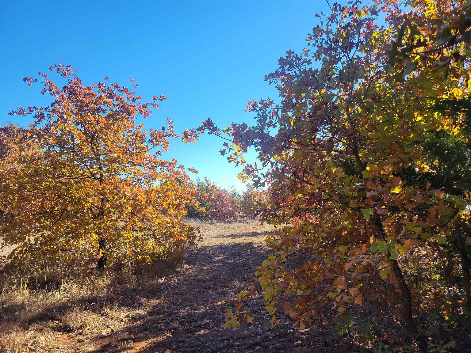 Caddo St, Marlow, OK 73055 Zillow