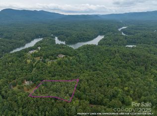 Lake Adger, Mill Spring, NC 28756