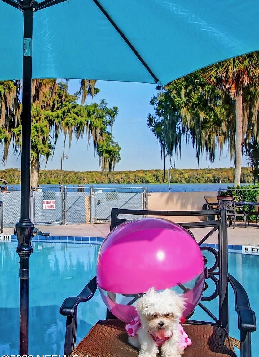 207 RIVER BEND CT BLDG. A, Welaka, FL 32193 MLS 1249119 Zillow