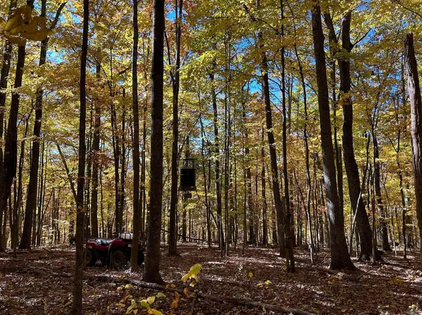 Route 42 Snake Run, Alderson, WV 24910