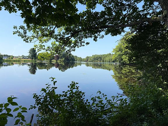4th image of 97 Forest Road
