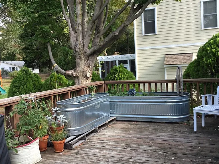 Backyard Photo 2