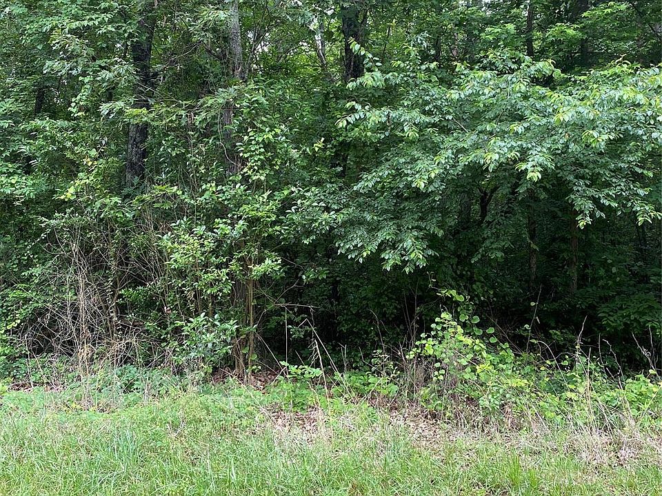 2nd image of 11456 N Hampton Dr