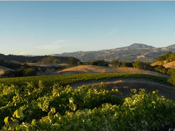 (undisclosed Address), Healdsburg, CA 95448