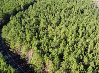 5 Henry Cannon Rd, Braxton, MS 39044