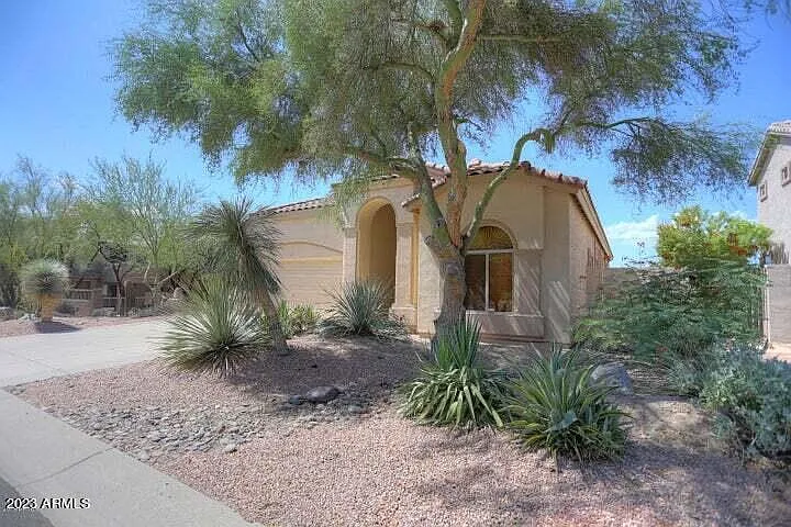 3634 N Morning Dove
