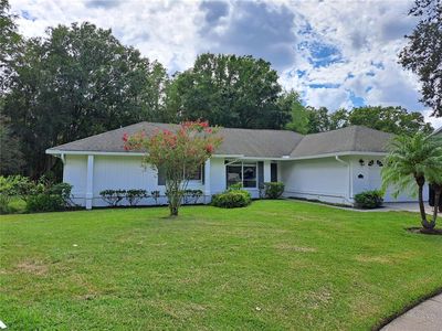 15217 Alexis Dr, Tampa, FL, 33624