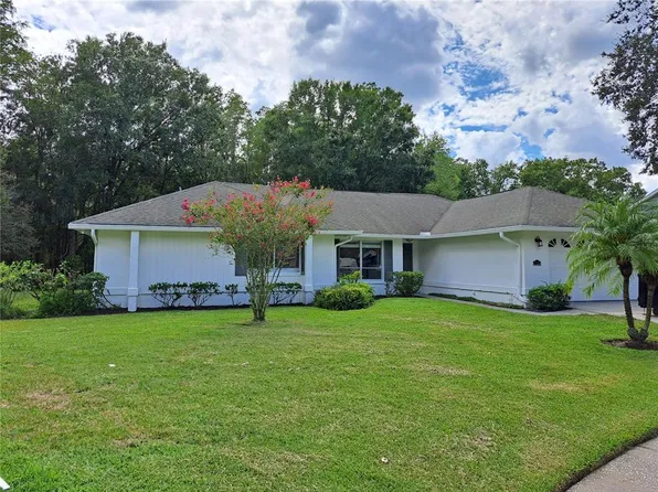 15217 ALEXIS DRIVE, TAMPA, FL 33624
