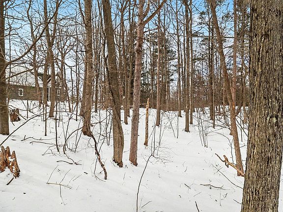 4th image of LOT 11 N Silver Ridge Rd