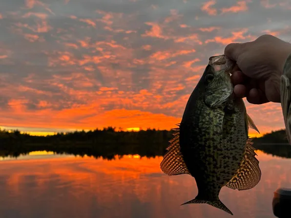 Tbd Wilderness Way, Cook, MN 55723