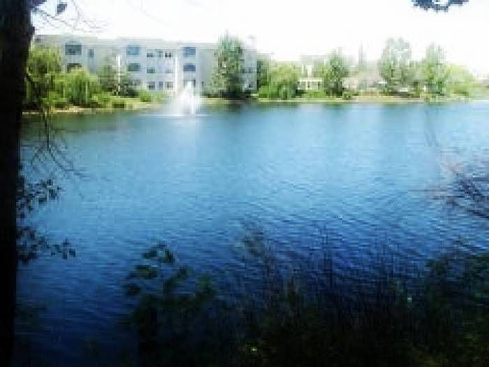 View of the LAKE!!