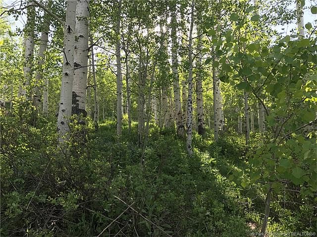 2nd image of 2238 Uintah View Dr