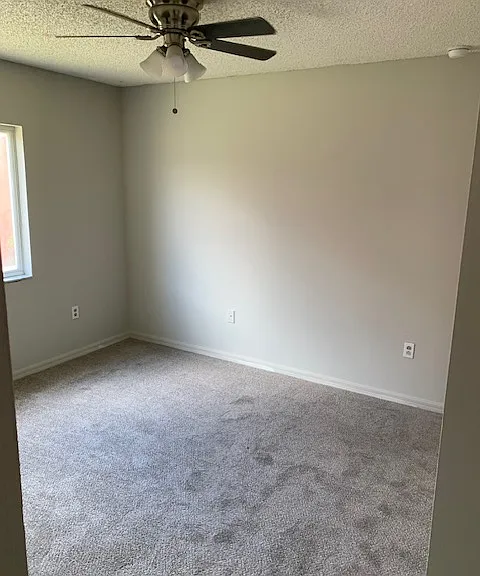 11802 Lynmoor Dr — Photo 8