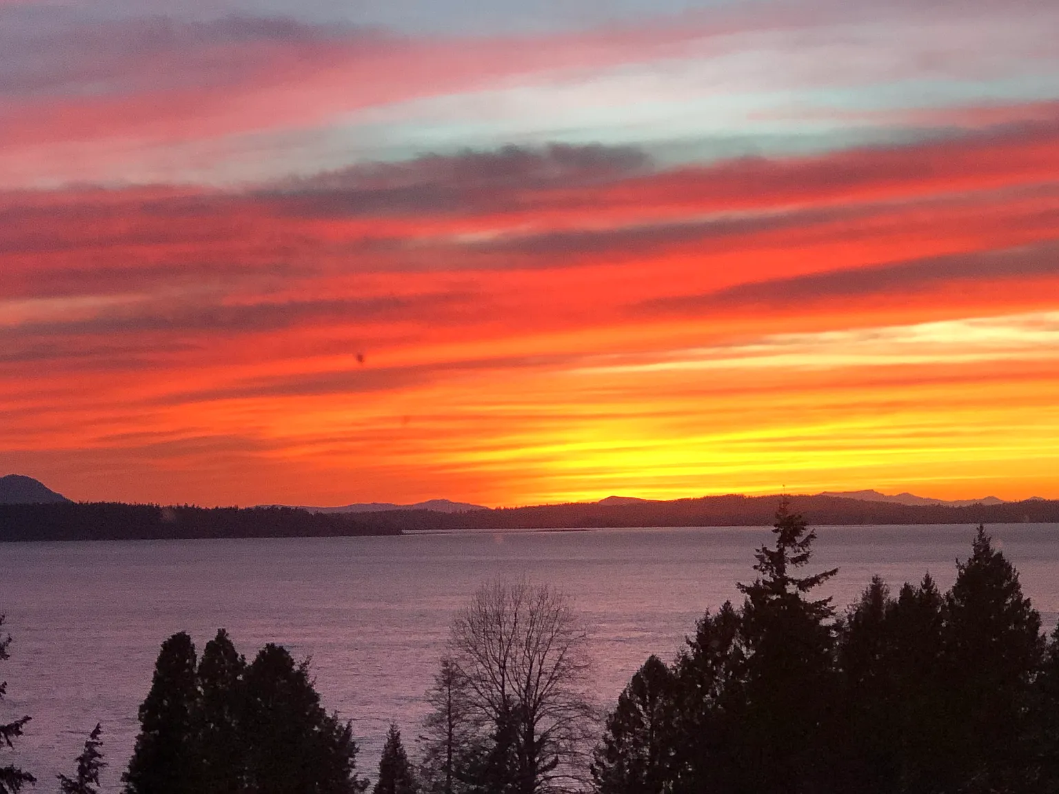 Briar Rd, Bellingham — Photo 1