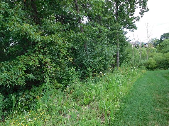 3rd image of 8971 Hillside Dr
