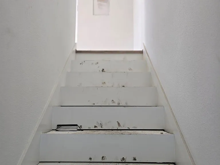 1206 Schweikhardt St #A — Photo 13