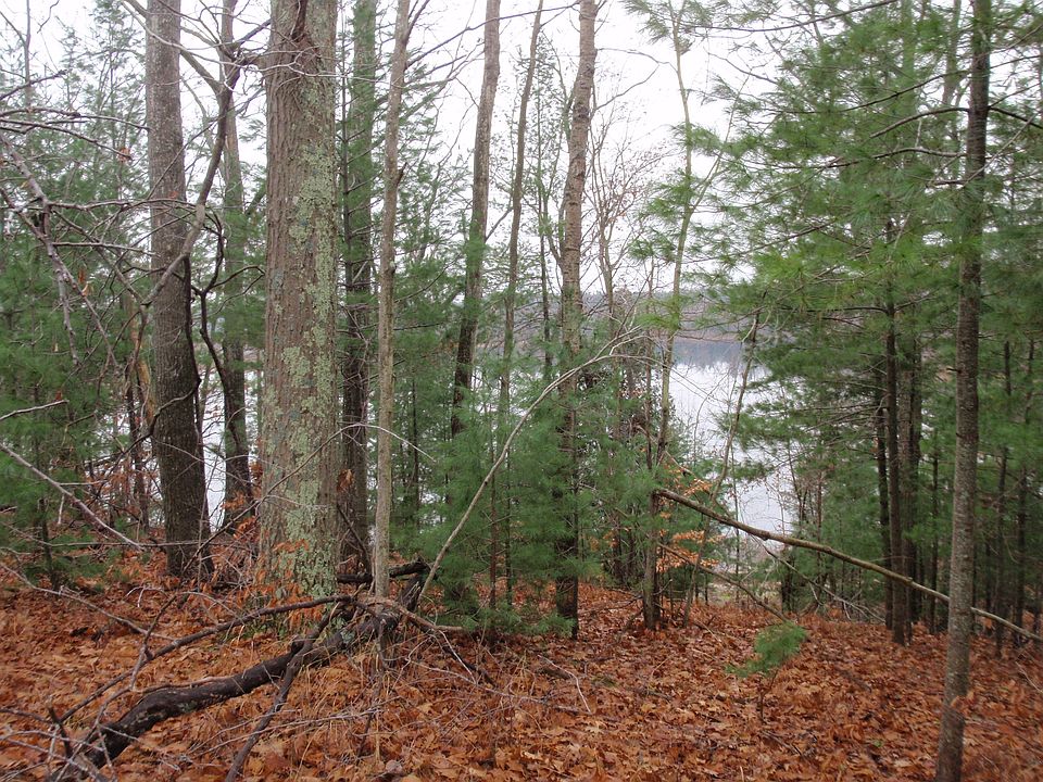 View from homesite