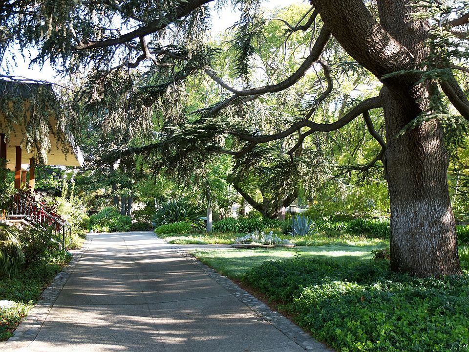 Front driveway