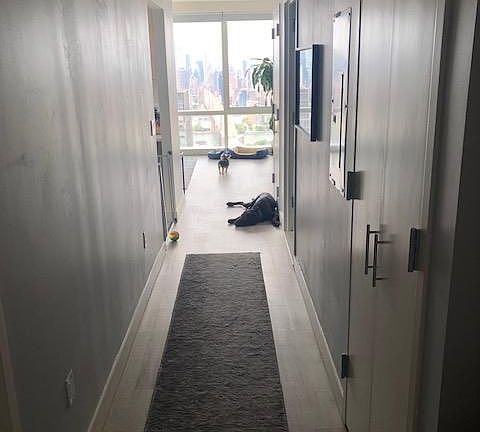 5th image of 4212 28th St APT 55A