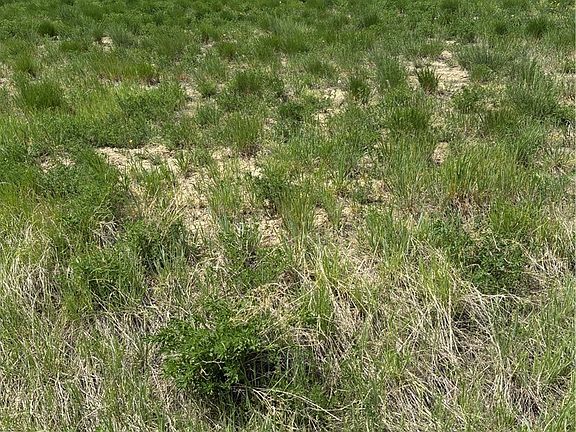 5th image of 3863 Glenn Edward Rd