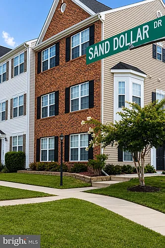100 Sand Dollar Cv Photo 1