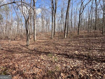 LOT 134 Castleman Rd, Carrollton, GA, 30116