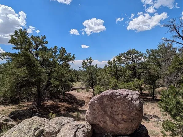 1240 Brookview Way, Crestone, CO 81131