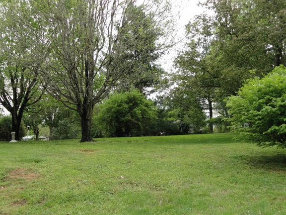 4 - back yard