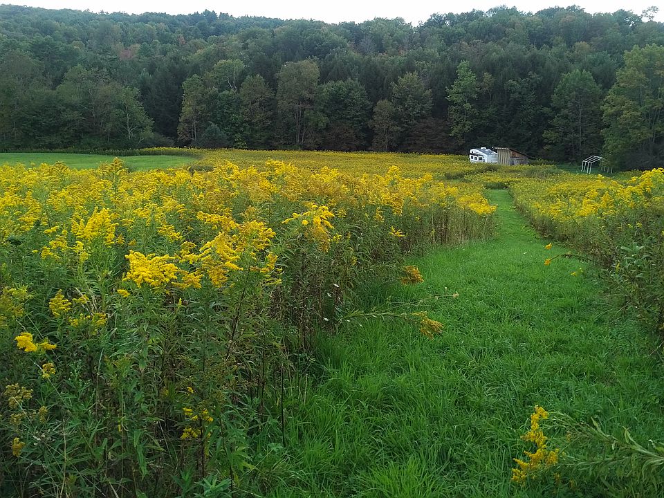 1st image of 641 County Route 5