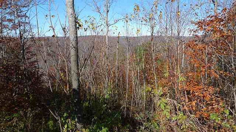 5th image of 001 CHARLOTTEVILLE Road
