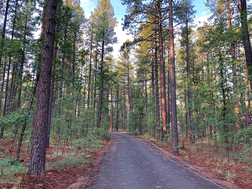 3121 Strawberry Hill Rd, AZ 85935 Zillow