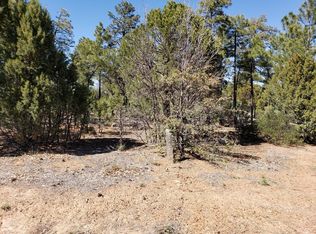 4180 Sugar Pine Loop, Show Low, AZ 85901