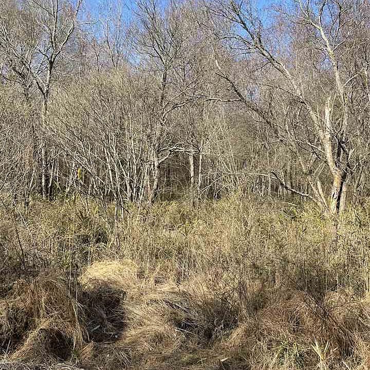 2nd image of 1500 W Oak St