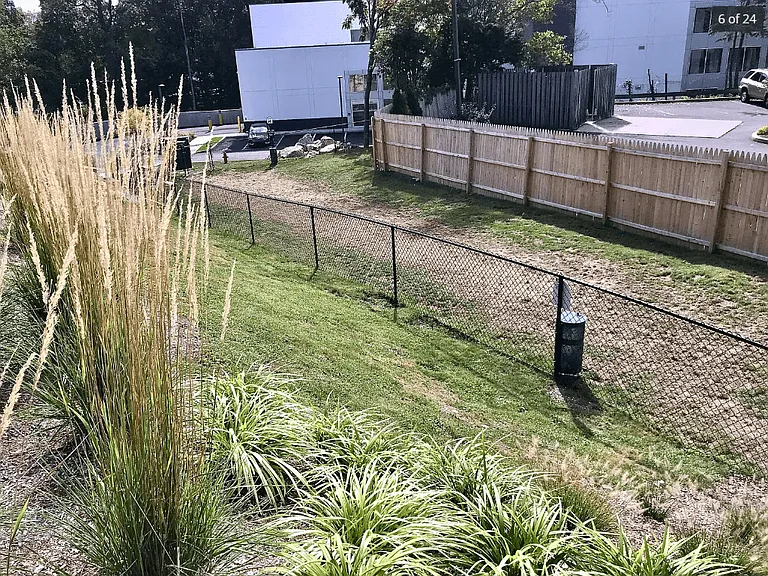The Stonefield — Photo 6