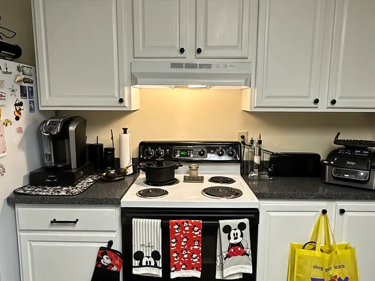 190 Common St #4 — Photo 11