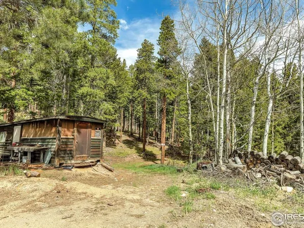 765 W 1st St, Nederland, CO 80466