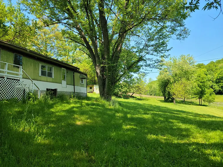 back deck/ yard/ open field