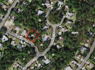 1 Dahoon Dr, HOMOSASSA, FL 34446