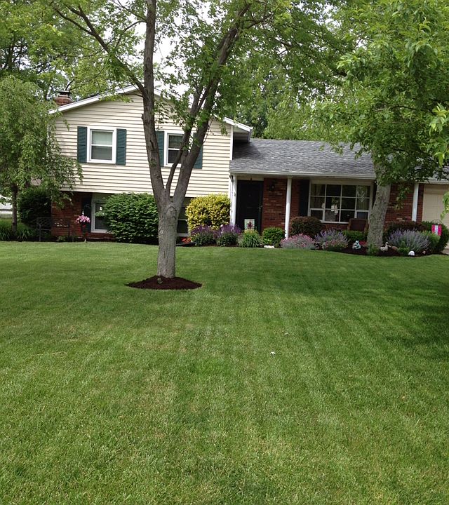 1st image of 815 Quailwood Ct