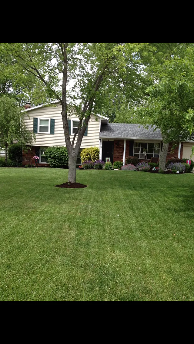 815 Quailwood Ct photo 1