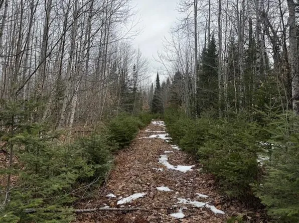 M9 L19-A-1 Off Deer Run Road, Stetson, ME 04488