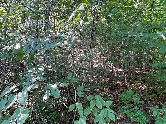 3rd image of Cedar Creek Rd #0